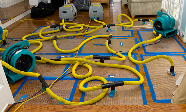 Professional Water Damage Repair technician working in Wellfleet, MA